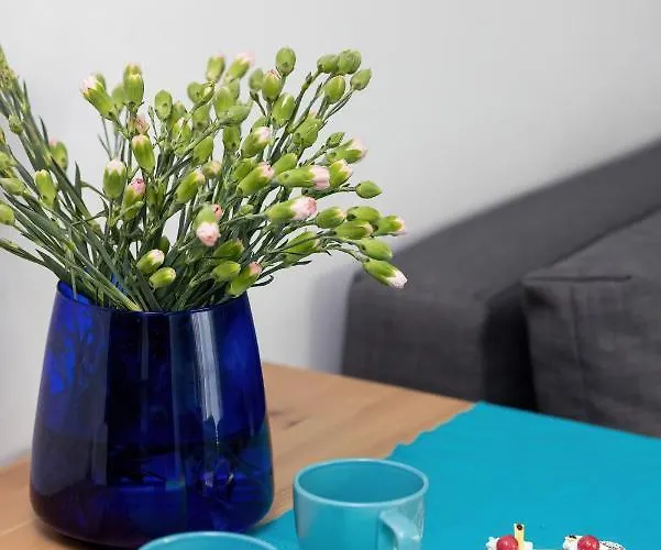 Bed & Breakfast Olecki House Dźwirzyno